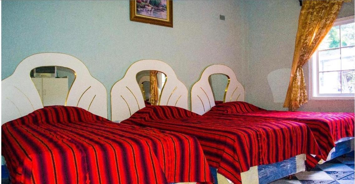 Hotel Amigo 帕纳哈切尔 外观 照片